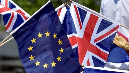 Britisches Oberhaus lehnt Vorschlag über ein zweites Brexit-Referendum ab - ảnh 1